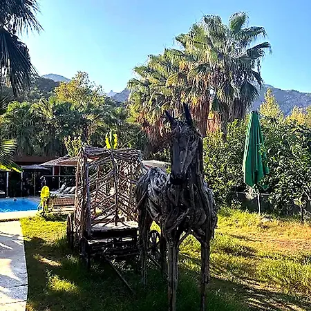 Terra Garden Szálloda Kemer